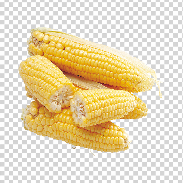Corn 32