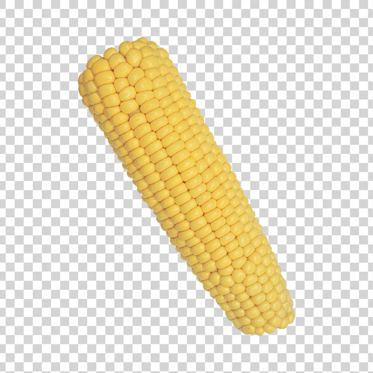 Corn 8