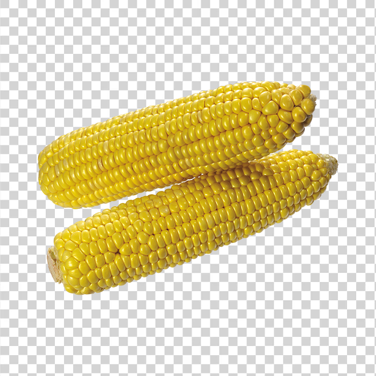Corn 9