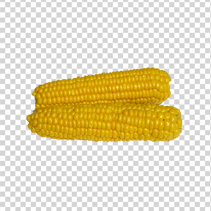 Corn 1651
