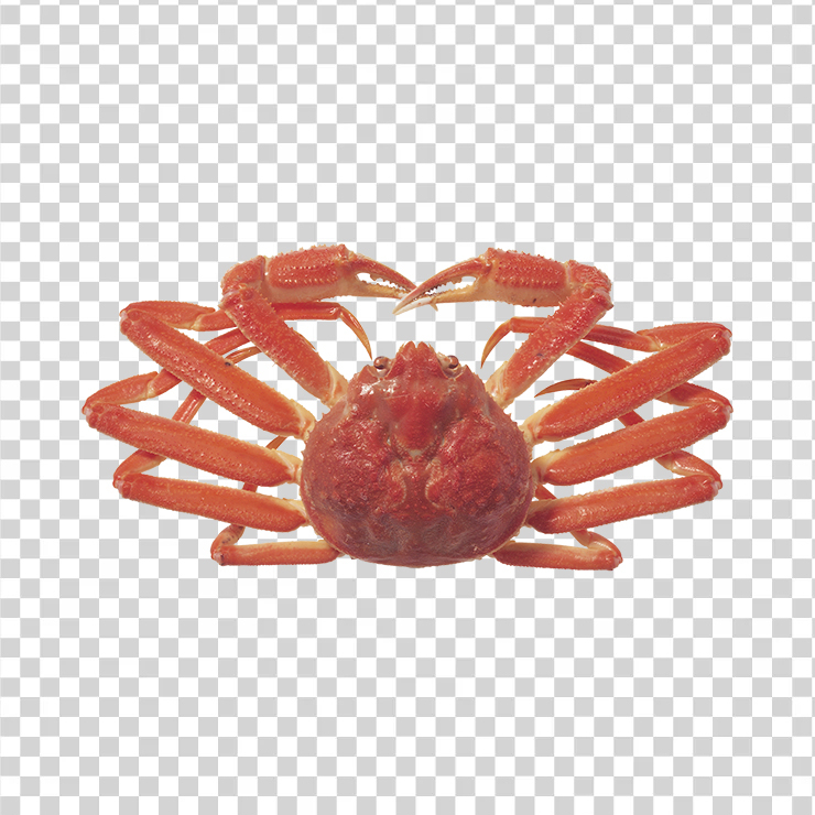 Crab 07