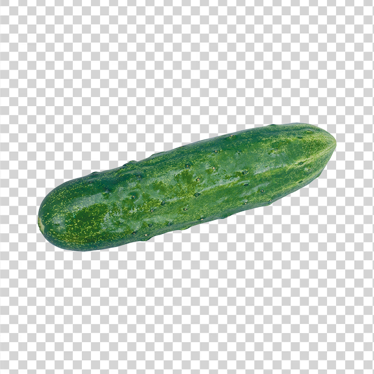 Cucumber 12