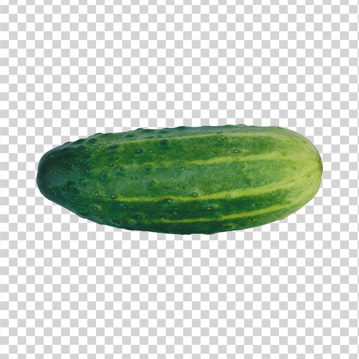 Cucumber 14