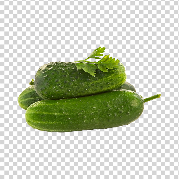 Cucumber 17