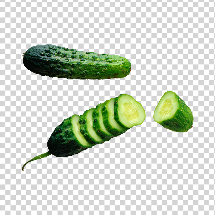 Cucumber 18