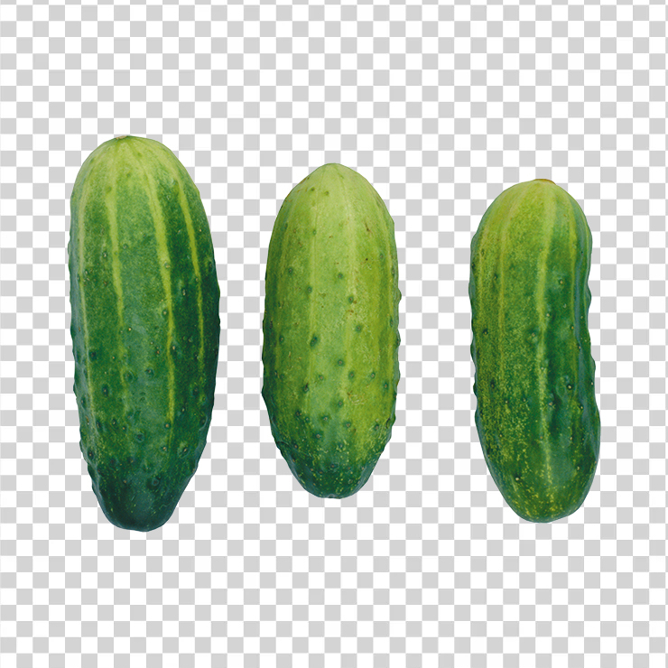 Cucumber 20