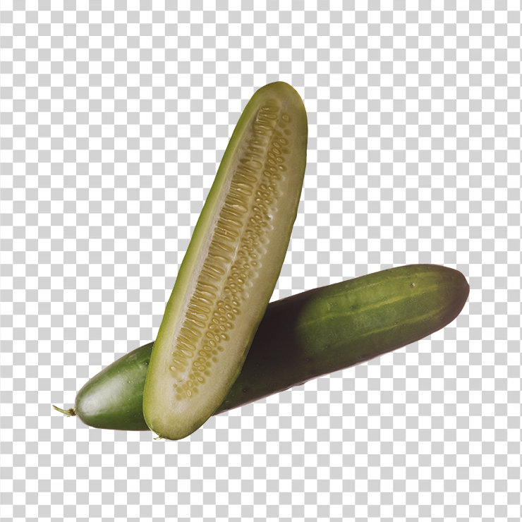 Cucumber 23