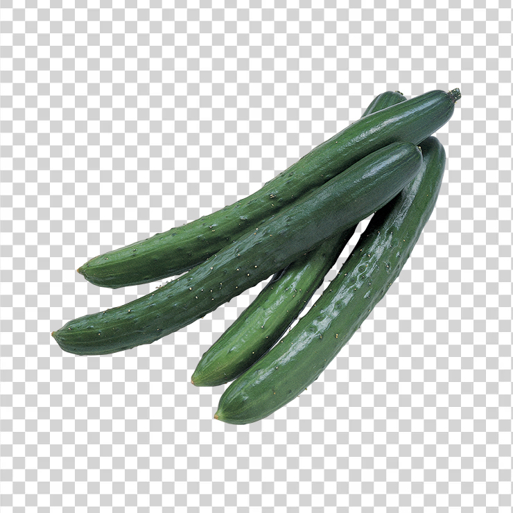 Cucumber 27