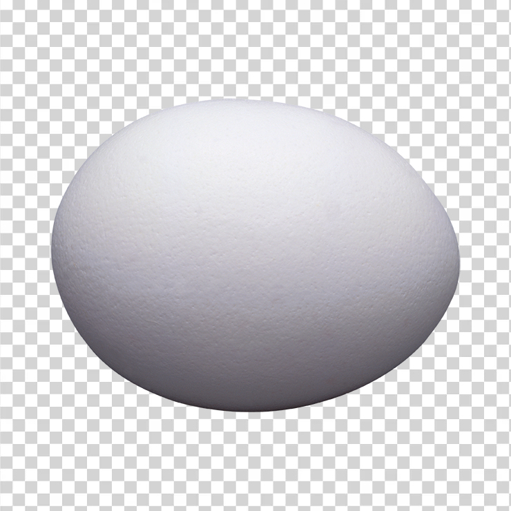 Egg 10