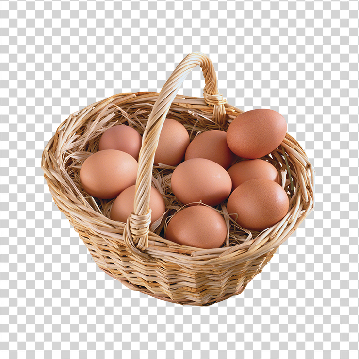 Egg 12