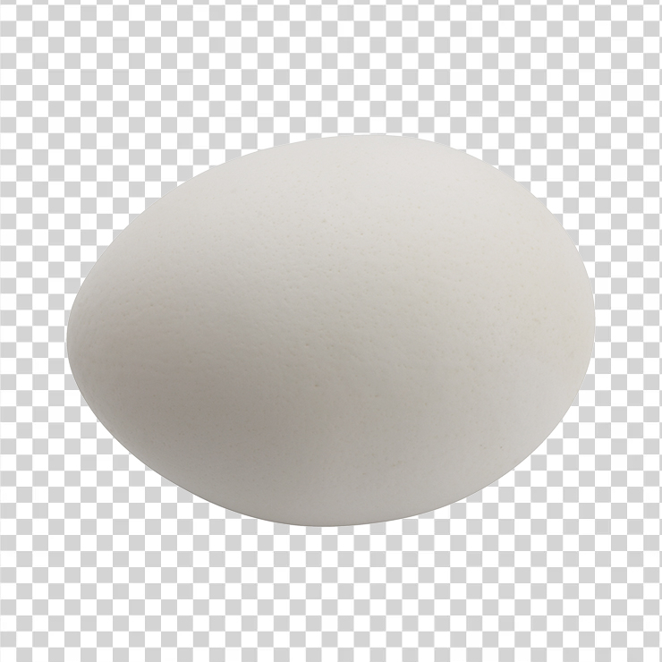 Egg 14