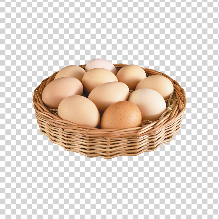 Egg 18