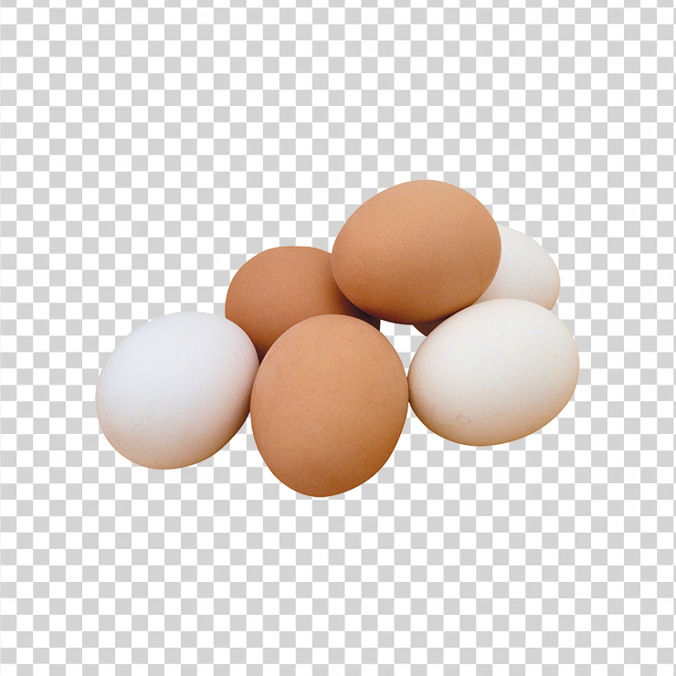 Egg 19