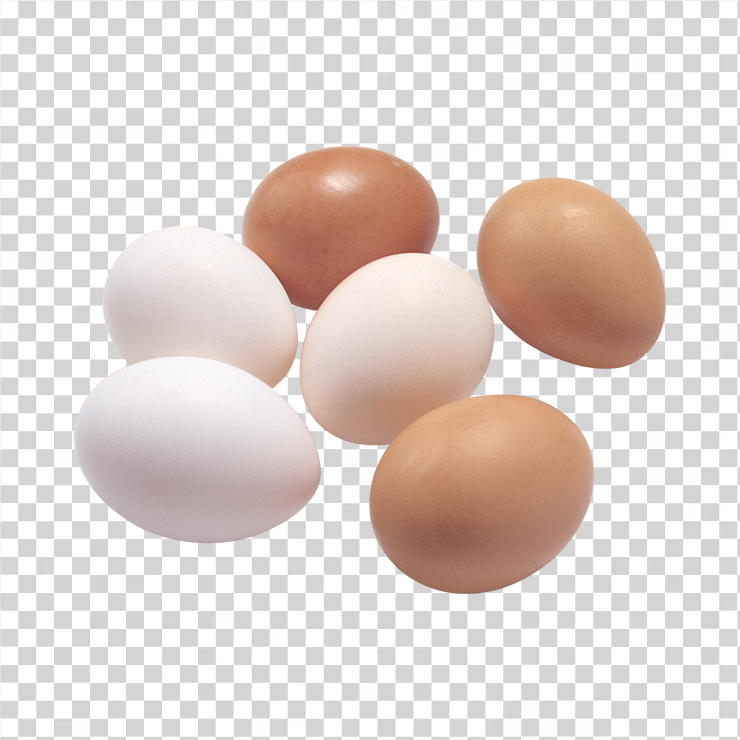 Egg 32