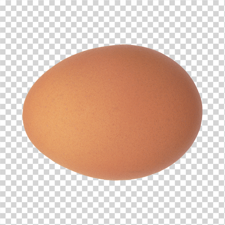 Egg 5