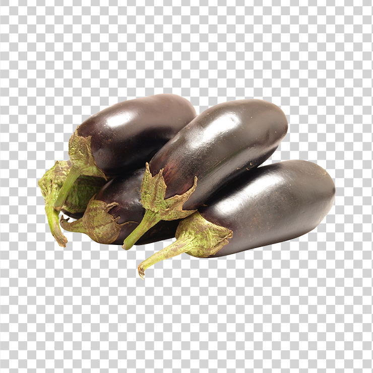 Eggplant 3