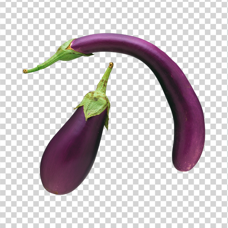 Eggplant 6