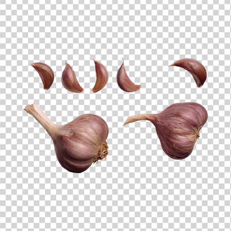 Garlic 12