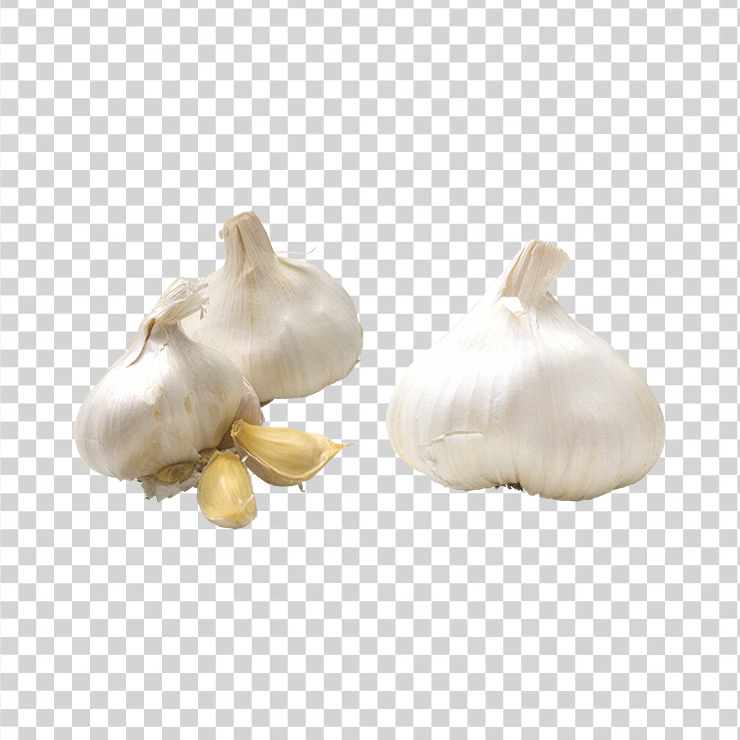 Garlic 13