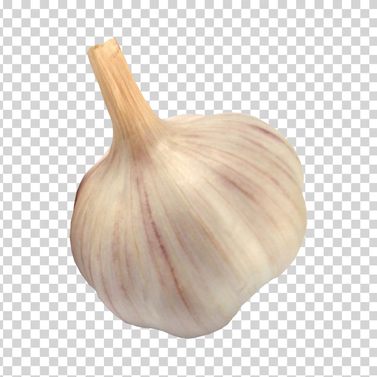Garlic 4
