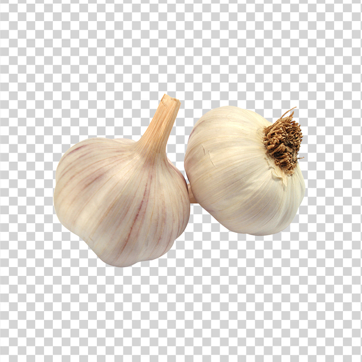 Garlic 1