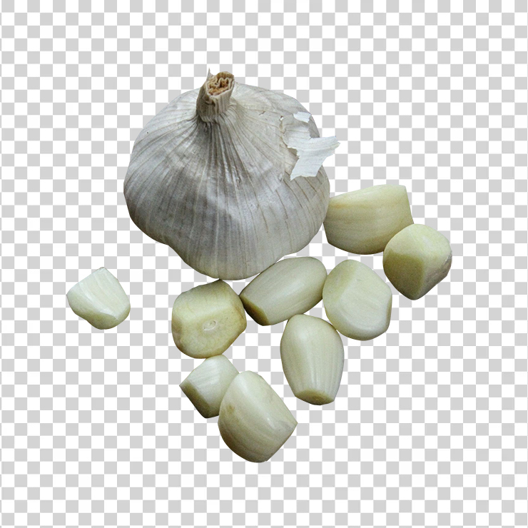 Garlic 2251