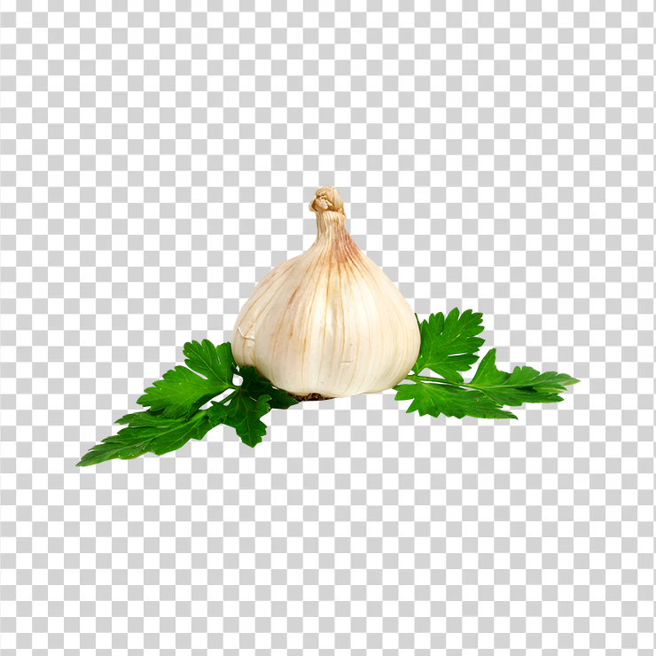 Garlic 3311