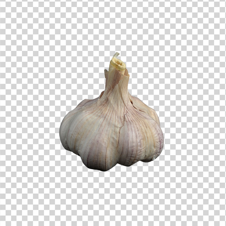 Garlic 4
