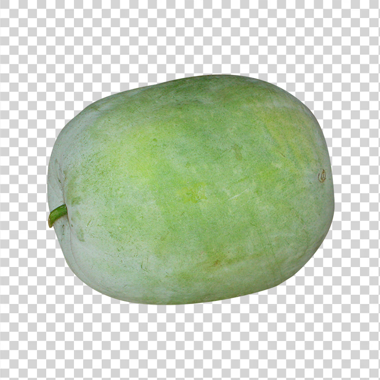 Giant winter melon