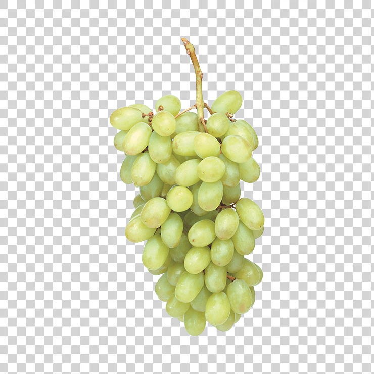Grape 11