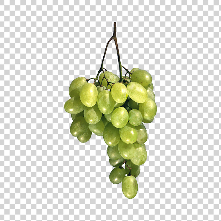 Grape 13