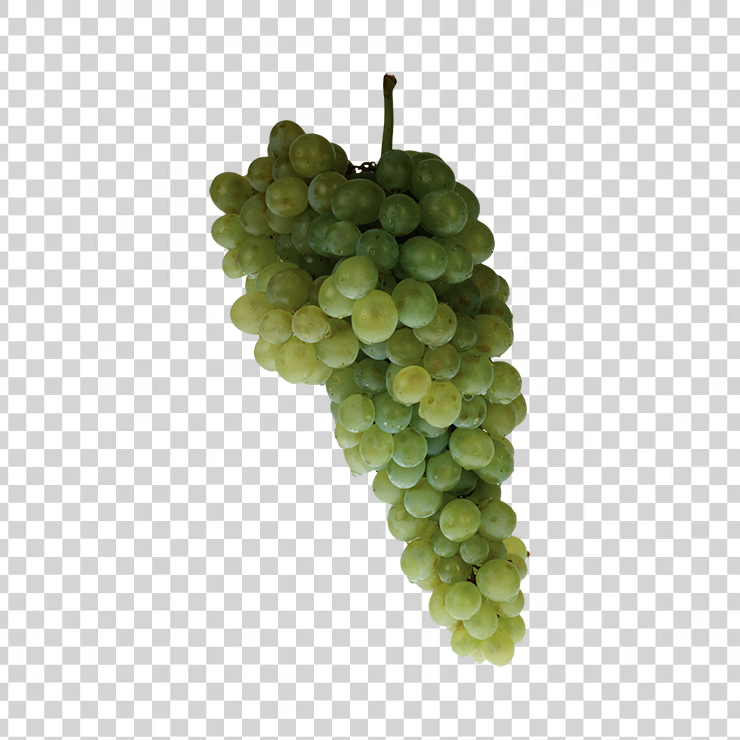 Grape 20