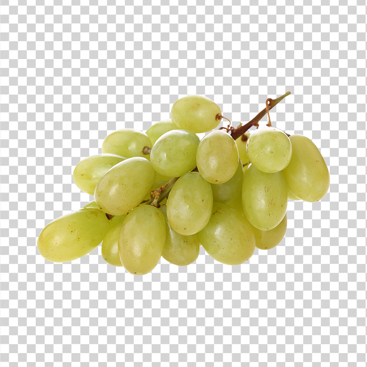 Grape 21
