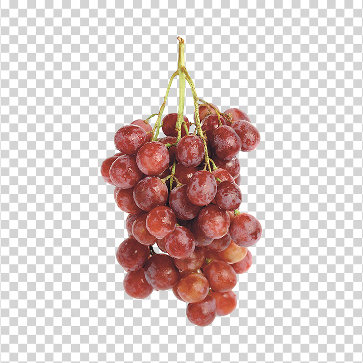 Grape 22