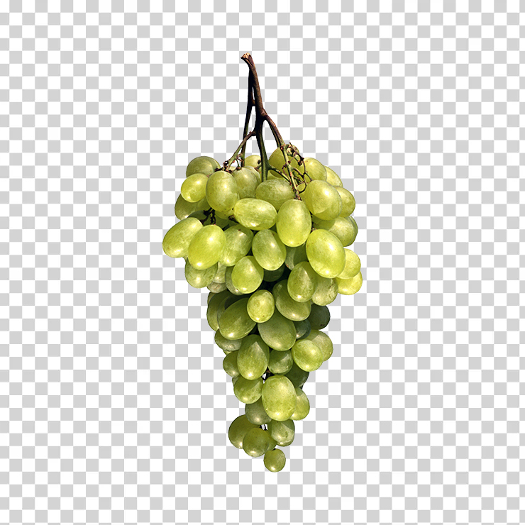 Grape 27