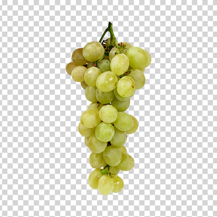 Grape 32