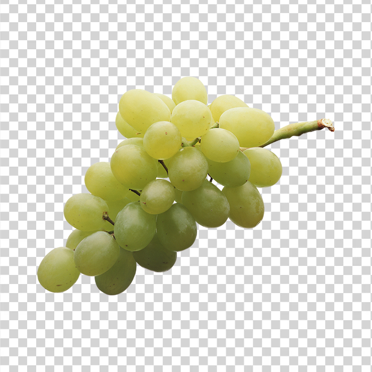 Grape 34