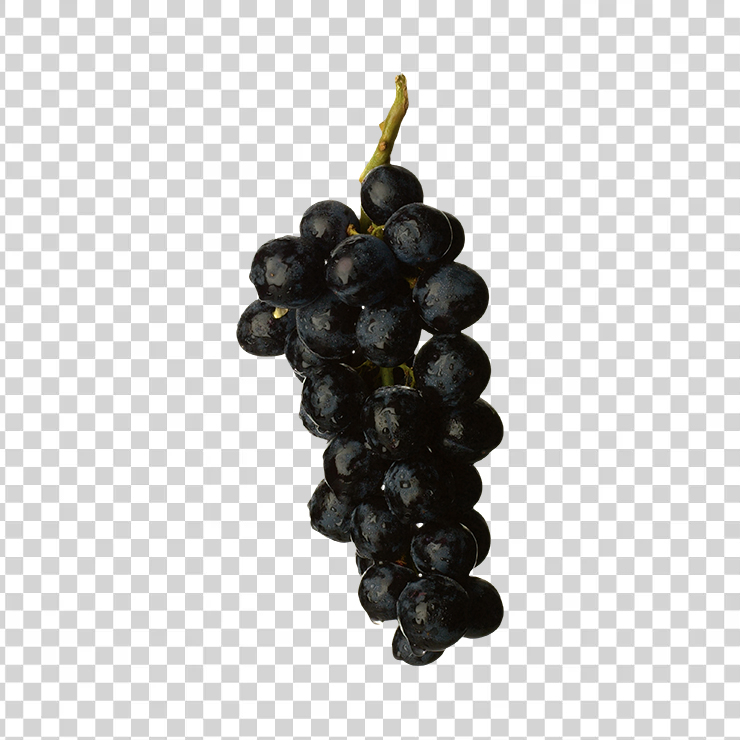 Grape 55