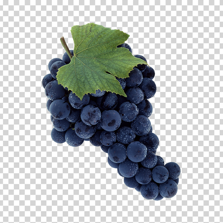Grape 62