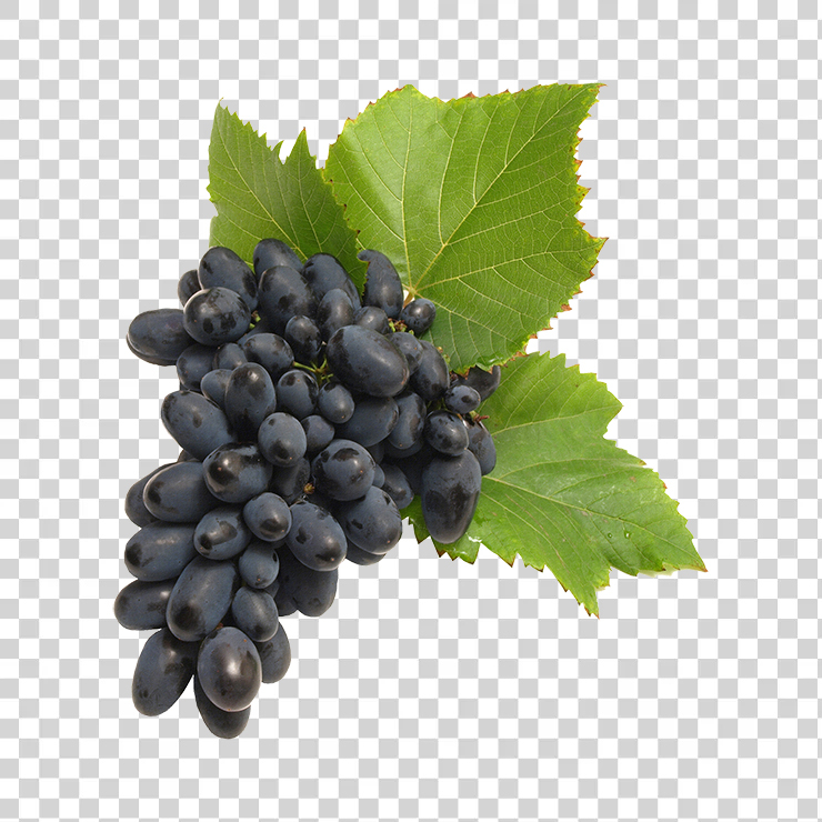 Grape 66