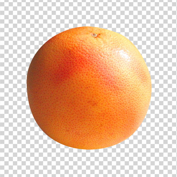 Grapefruit 1