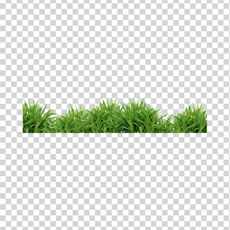 Grass 10