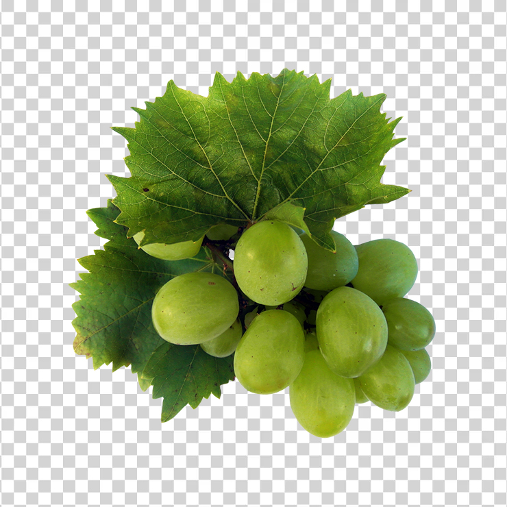 Green Grapes 15