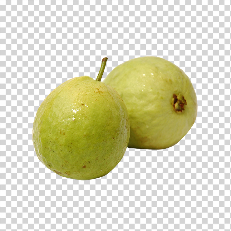Guava 5