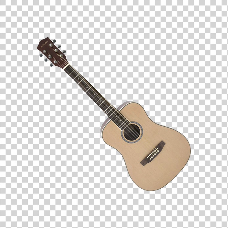 Guitar1361