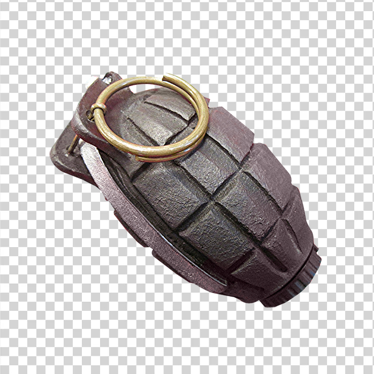 Hand grenade bomb1