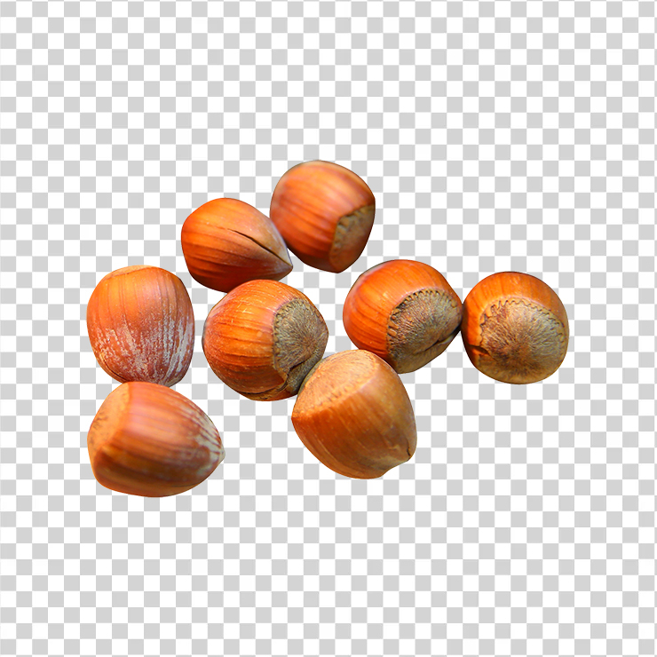 Hazelnut 1
