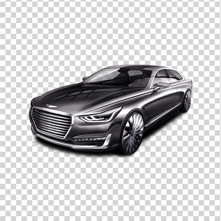 Hyundai Genesis G Gray Car