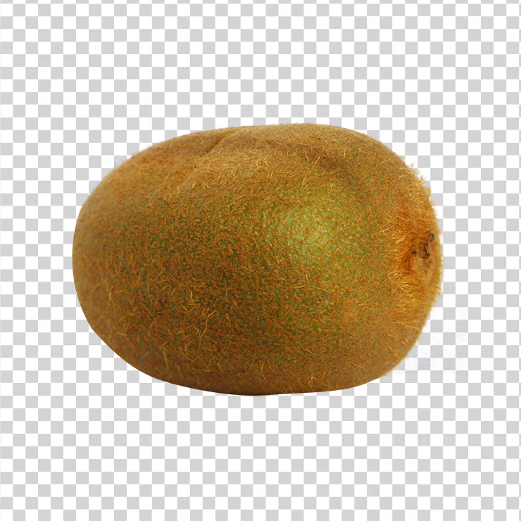 Kiwifruit 3