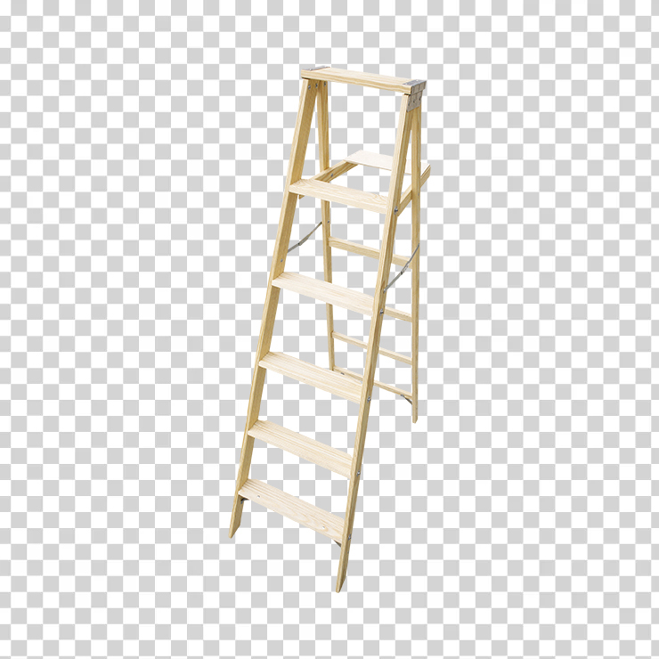 Ladder 24